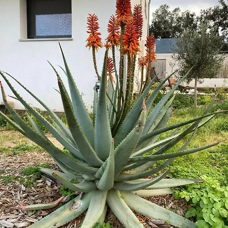 Casa vacanze Vue Sur La Presqu'ile De Giens Hyères