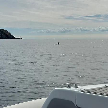 Vue Sur La Presqu'ile De Giens Hyères
